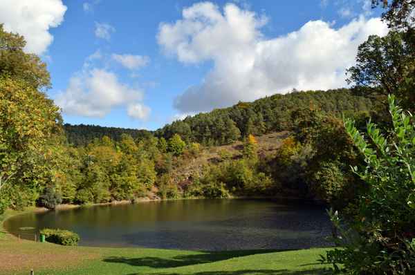 Frickenhäuser See