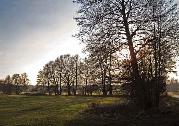Wintersonne überm Land