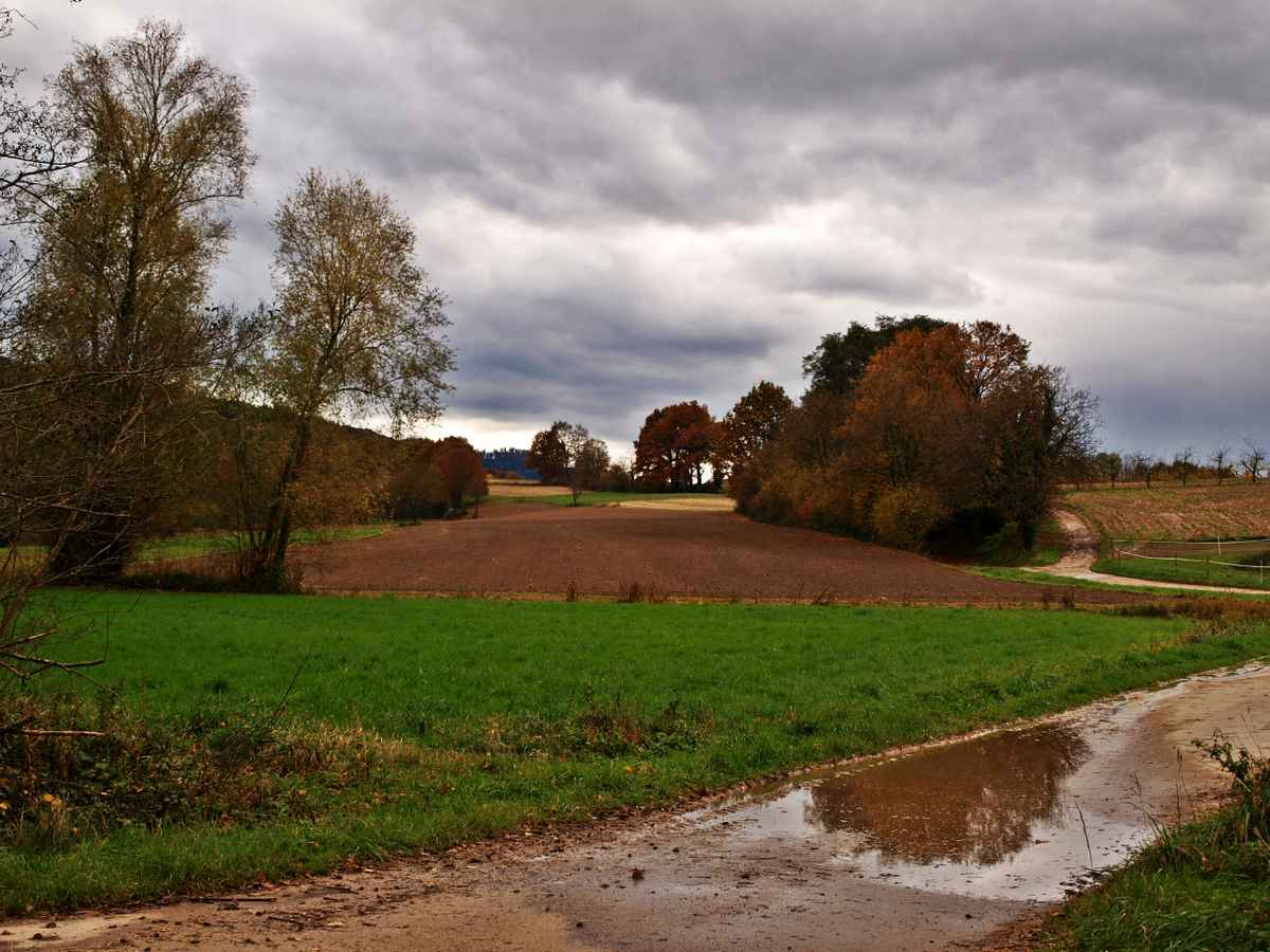 Nach dem Regen