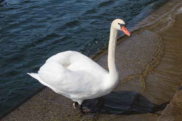 Aufbruch zum Landgang