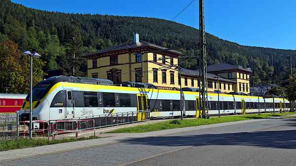 MEX in Bad Wildbad