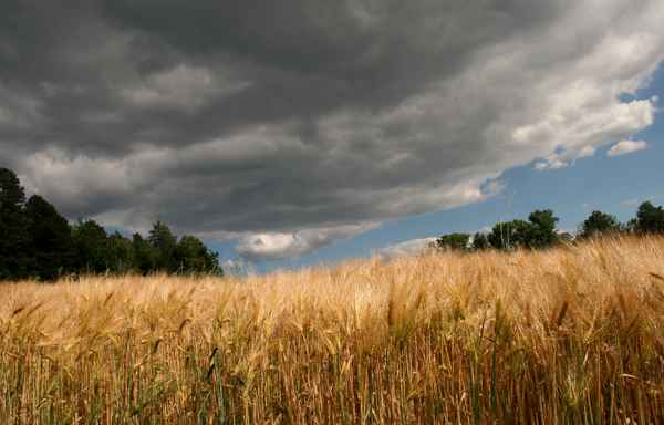 ein bischen sonne ...ein bischen regen