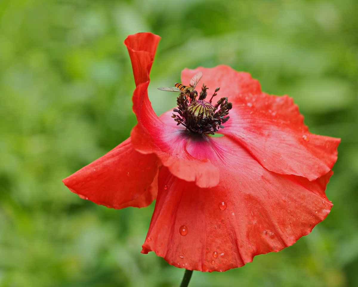 in regen und wind