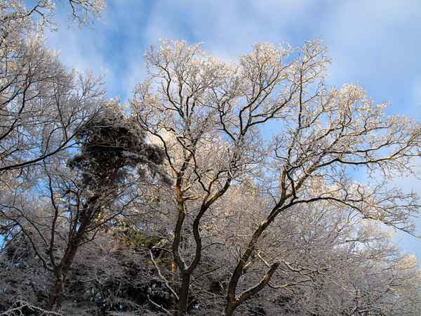 Von Sonne angestrahlt
