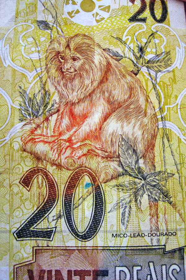 brasilianischer Zwanzig Real Geldschein mit einem goldenen Löwenäffchen