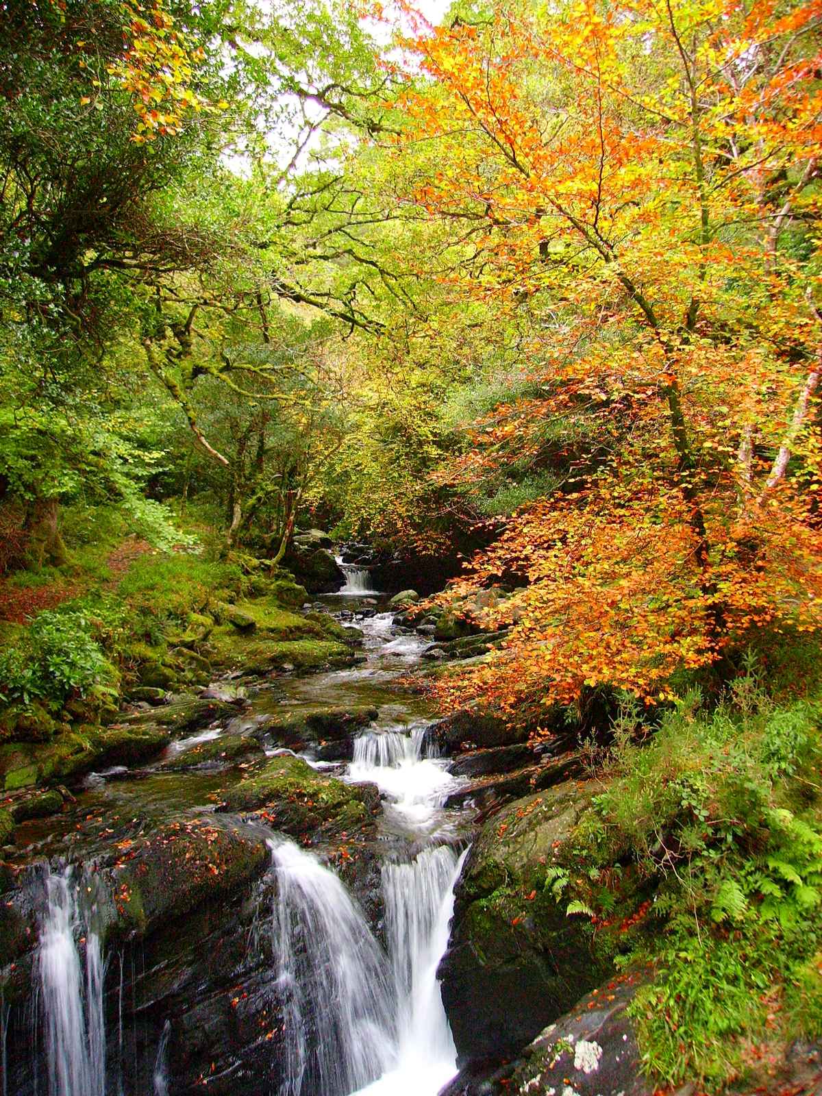 Wasserfall im Herbst