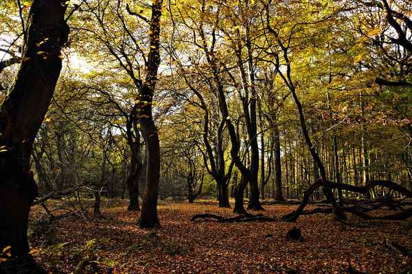 Herbstzeit