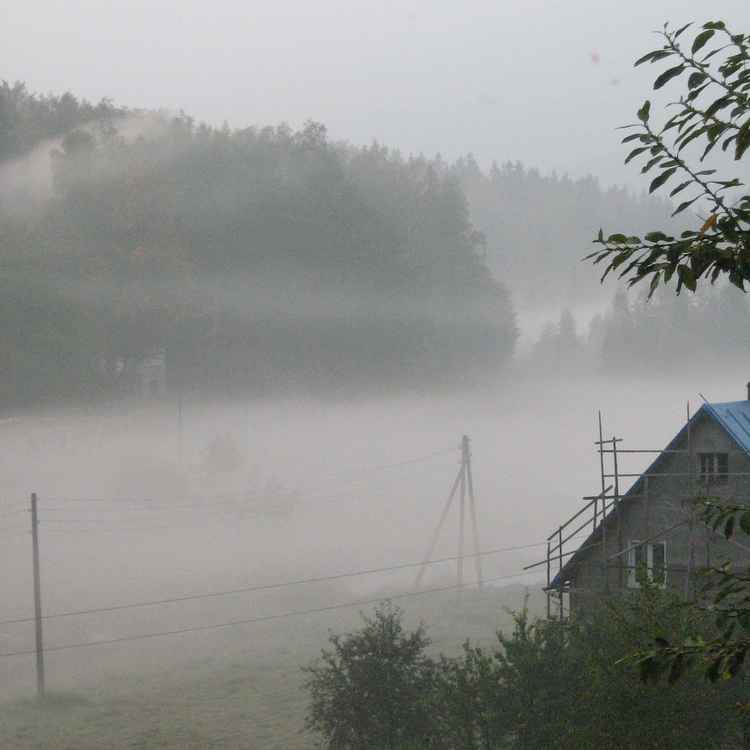 Morgennebel