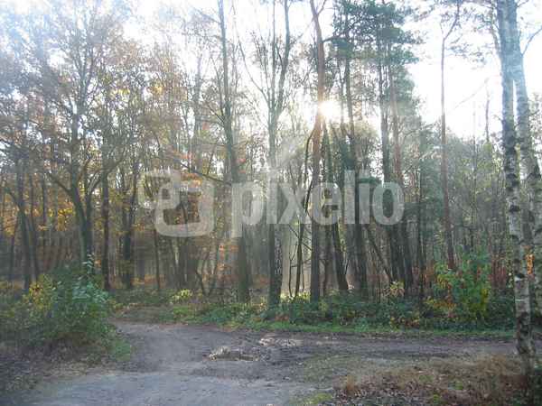 Waldweg 18