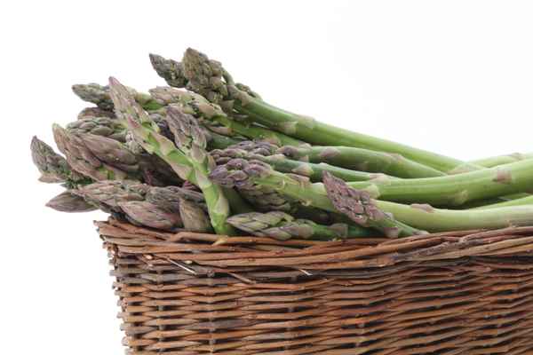 Spargel