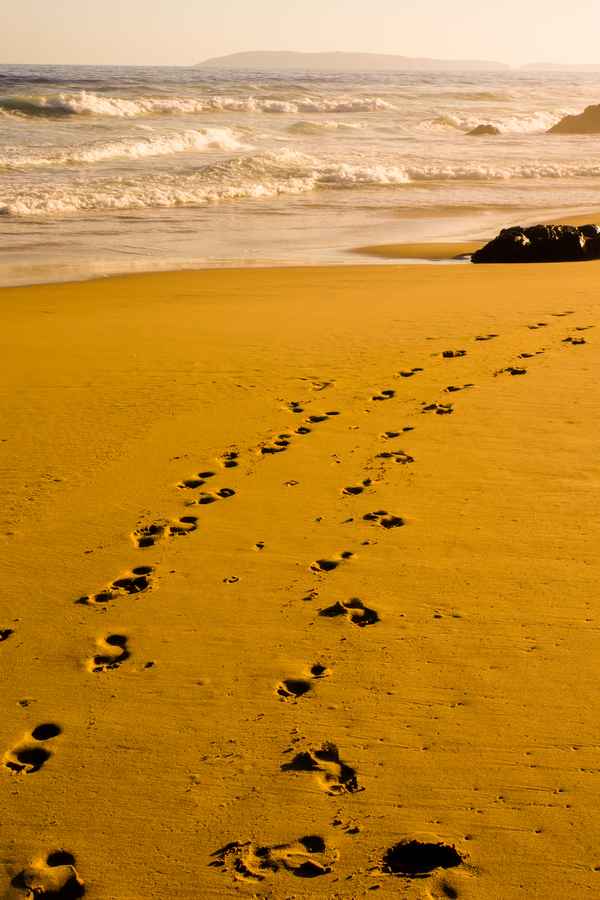 Strandläufer-Spuren