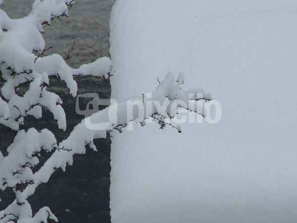 erster Schnee 9