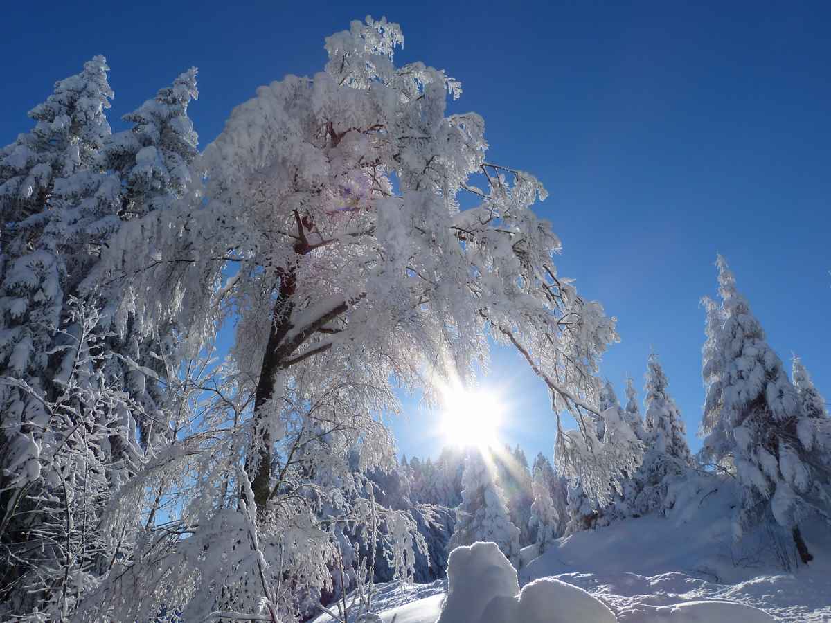 romantische Weihnachten
