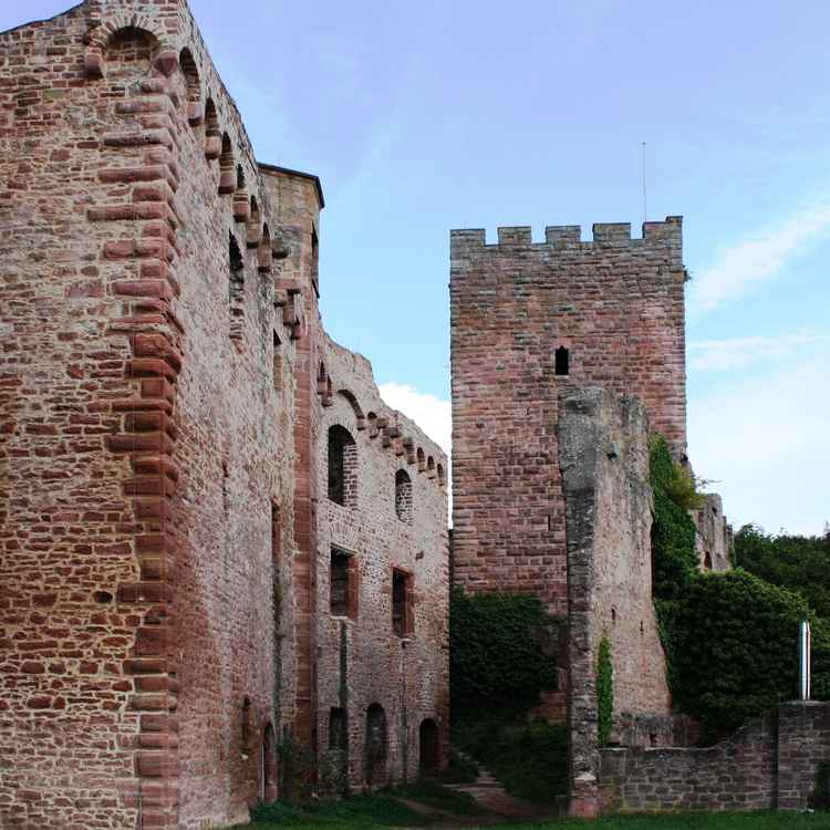 Burgruine Henneburg am Main