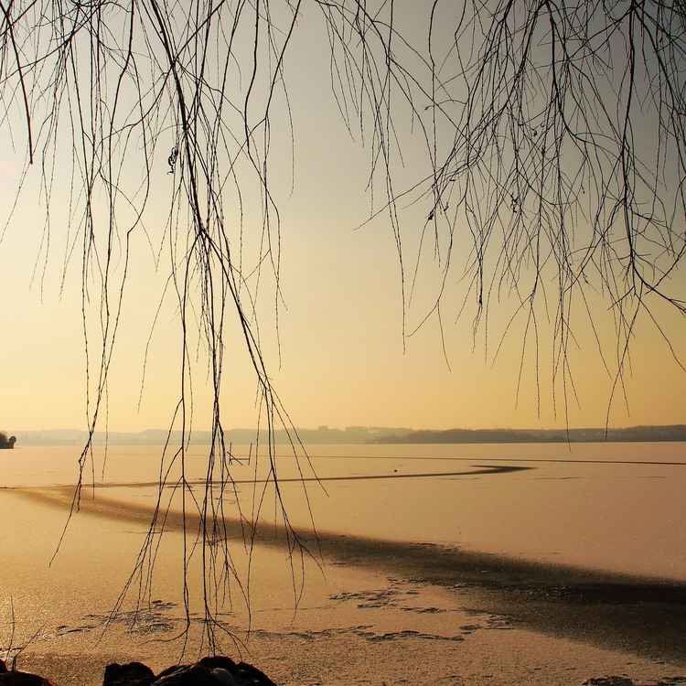 Nachmittags am See 04