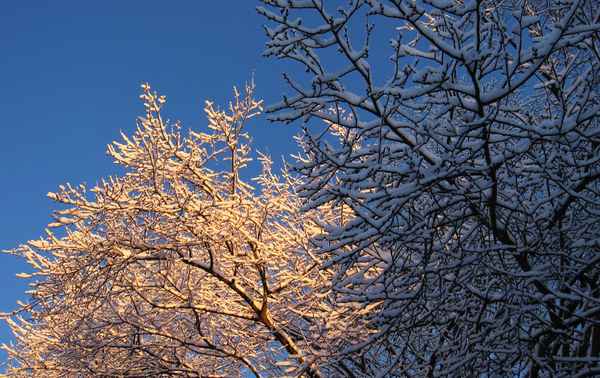 Winteraufgang 3/4
