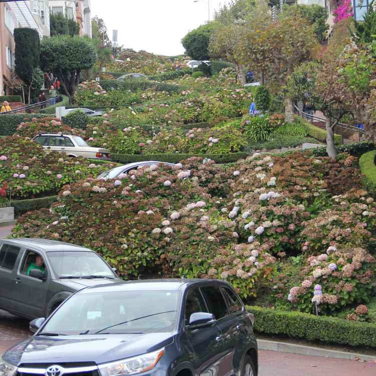 Lombard Street, San Francisco