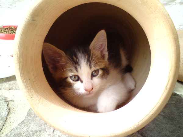 Schattiges Plaetzchen