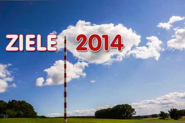 Richtungsweisend Ziele 2014