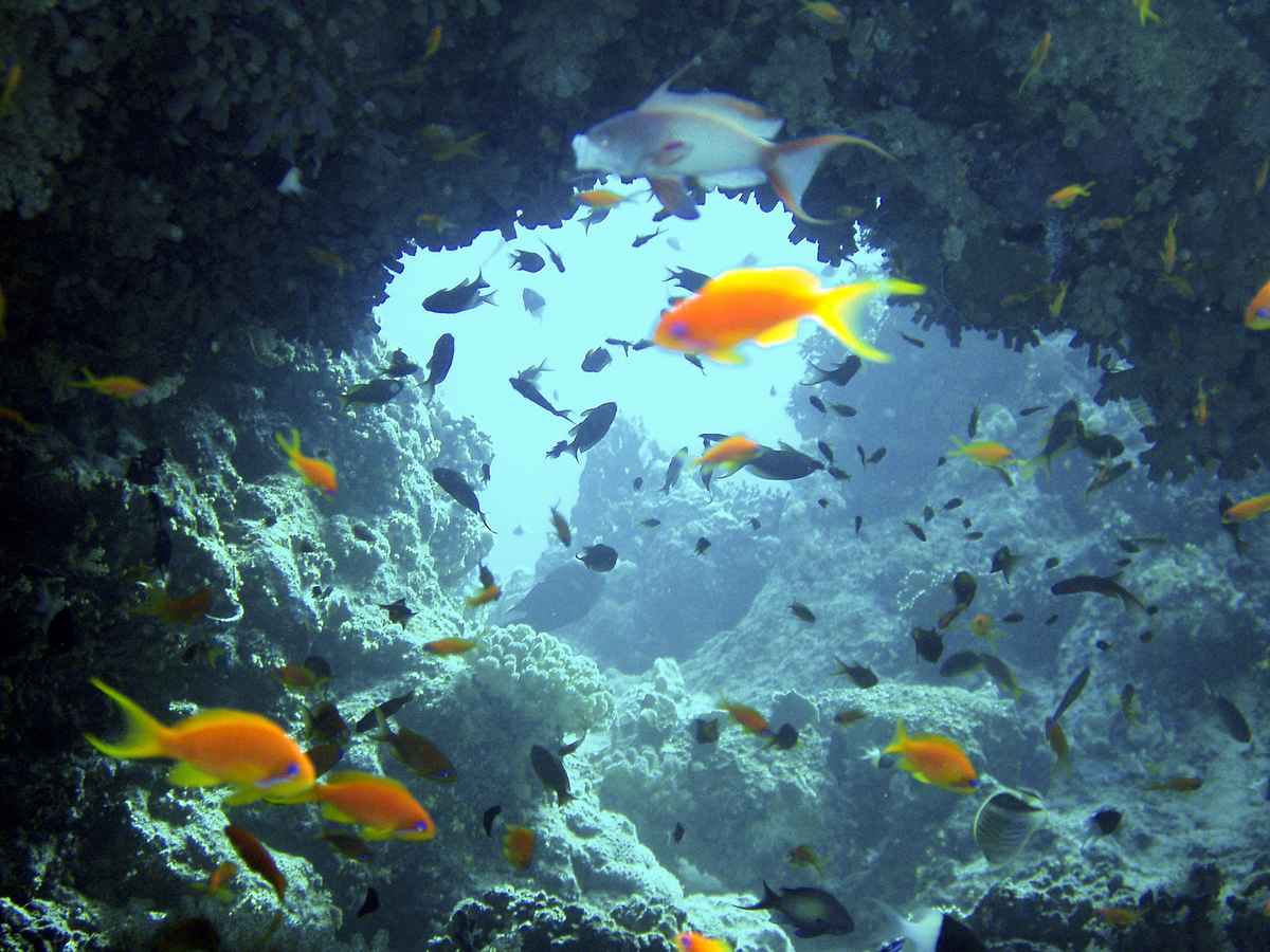 Blue Hole
