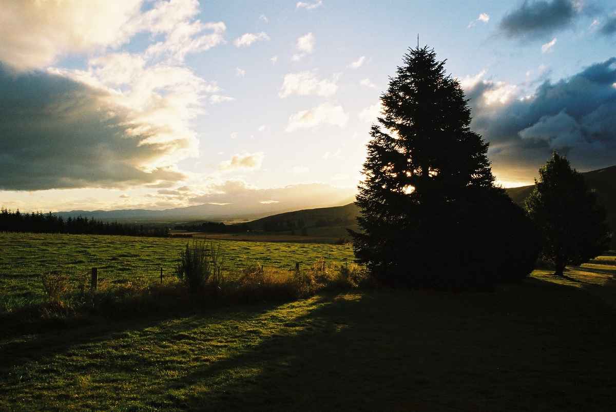 Abendstimmung beim Lake Te Anau