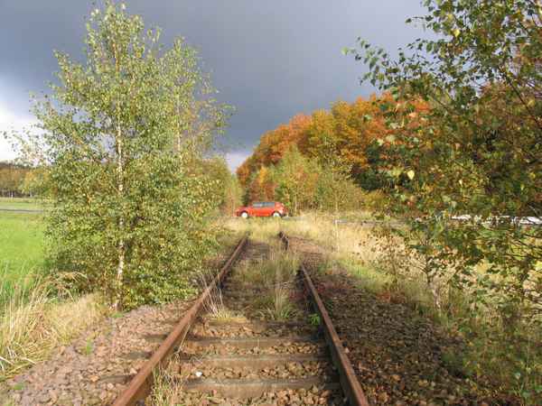Herbstwald  - Fröhne bei  Geringswalde