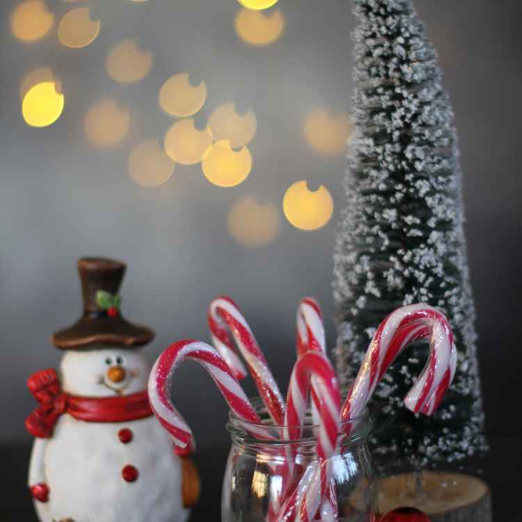 Es weihnachtet sehr 04