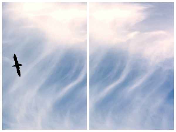 Das Licht vom Himmel