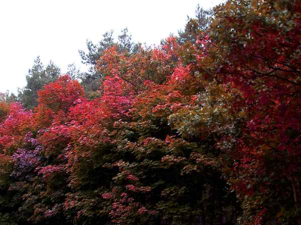 Schöner Herbst 4