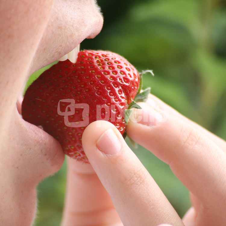 Leckere Erdbeere