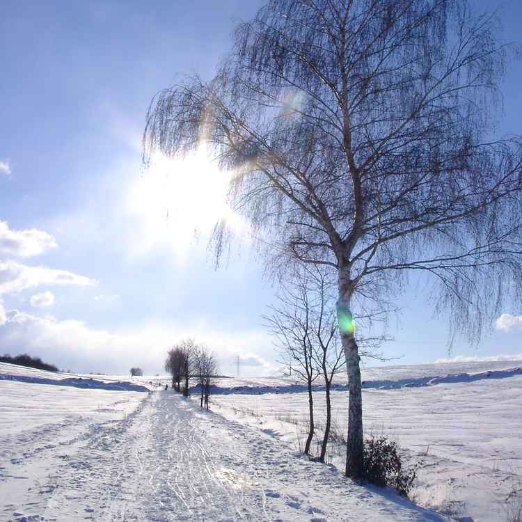Winterlandschaft