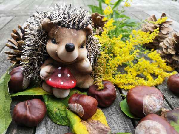 Herbstlich