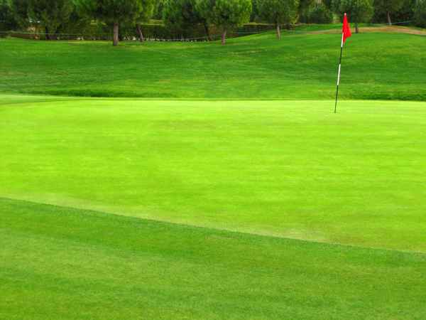 Grün leuchtet das Grün