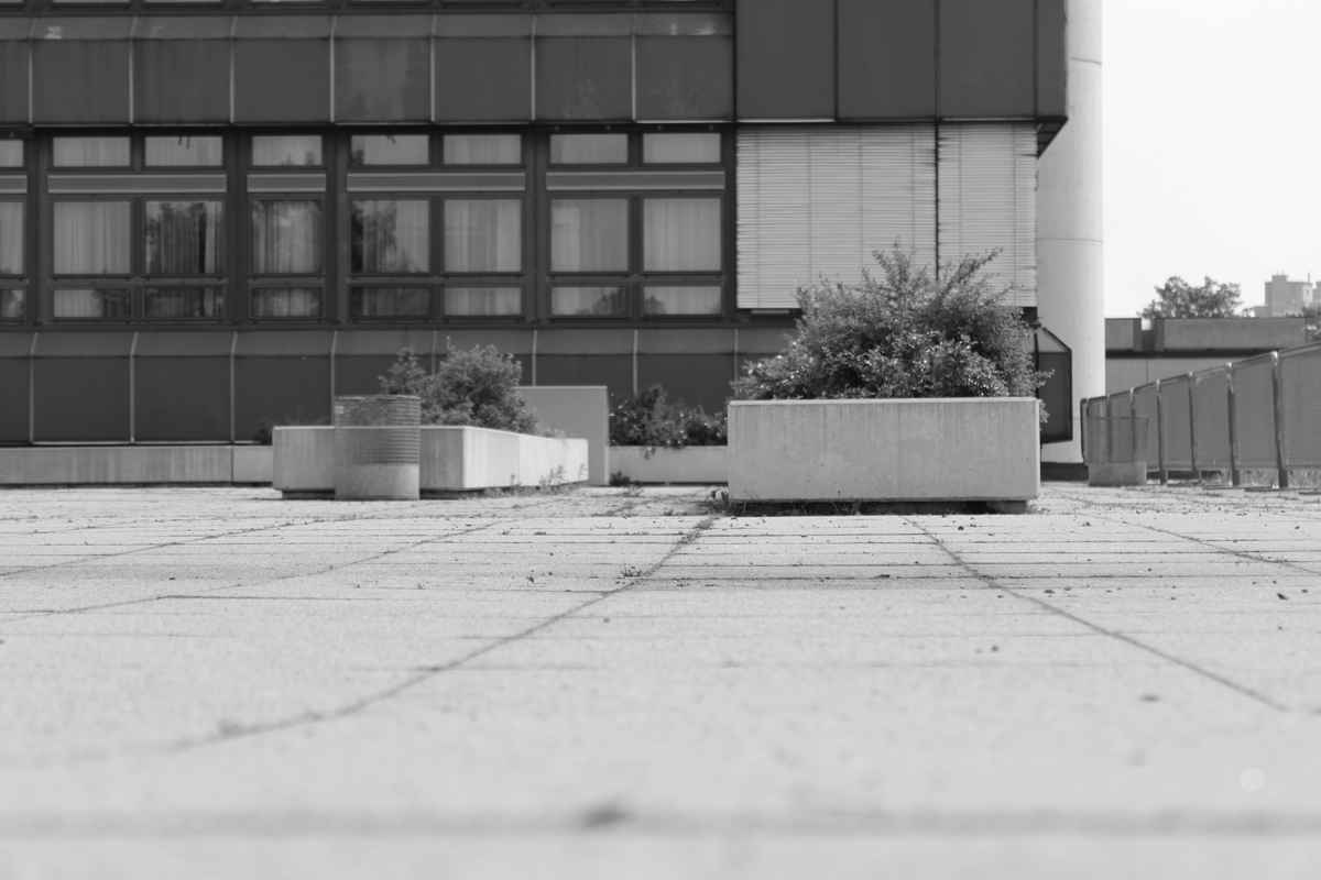 Die Ruhe vor dem Sturm