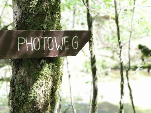 Photoweg im Eistobel / Foto: Alexander Hauk