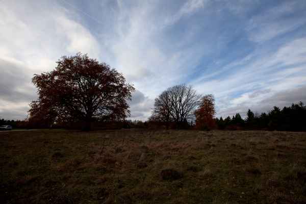Das letzte Tageslicht