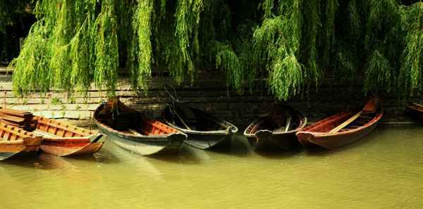 Stocherkähne in Tübingen am Neckar