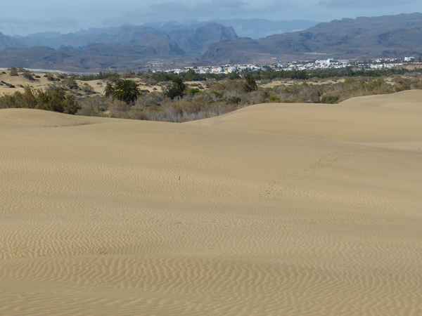 Dünen von Maspalomas 2