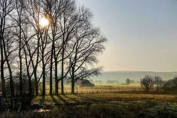 Ein Morgen im April
