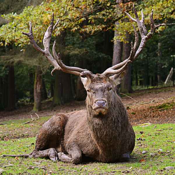 In der Ruhe liegt die Kraft