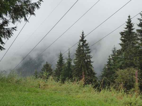 Morgennebel
