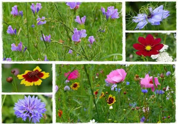 Der Sommer lässt grüßen