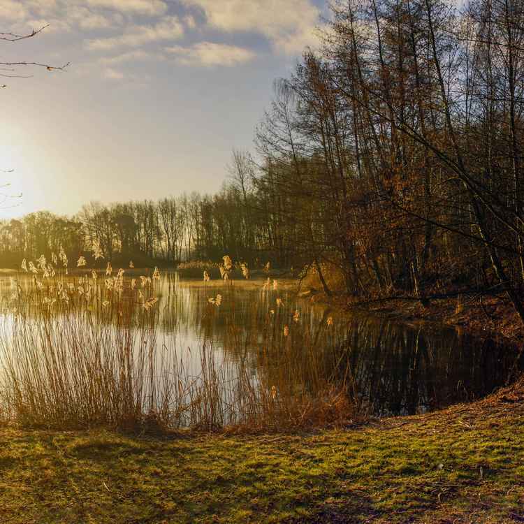 Sonnenaufgang am Angelteicch
