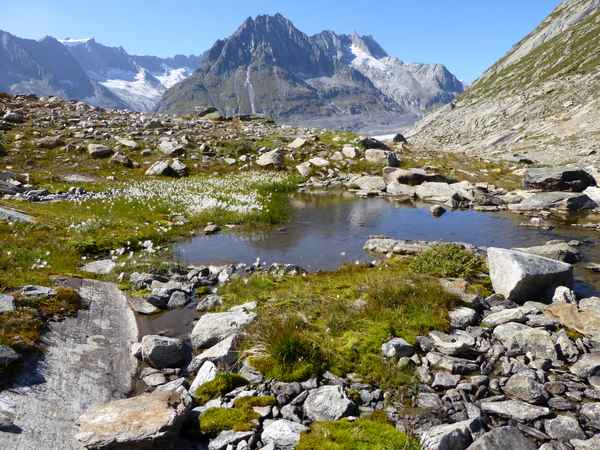 Maielensee,Aletschgebiet