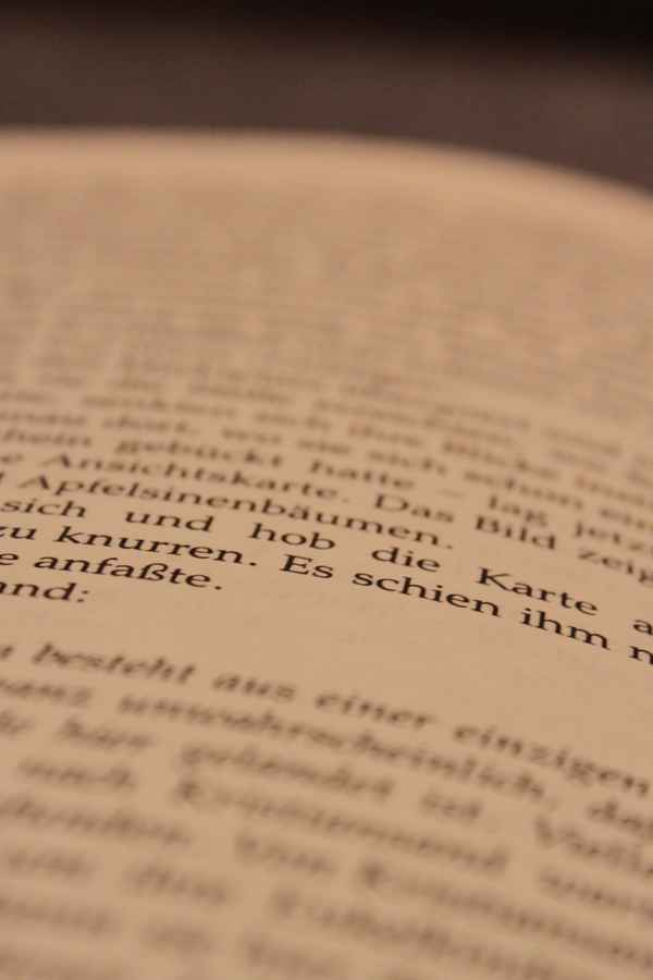 Buchseite 15