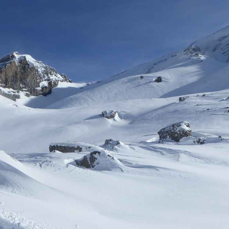 Rinderhorn (Gemmigebiet)