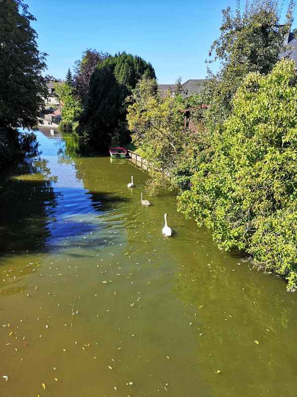 Blick von der Brücke