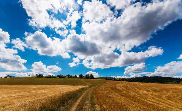 Sommer ist Vergangenheit