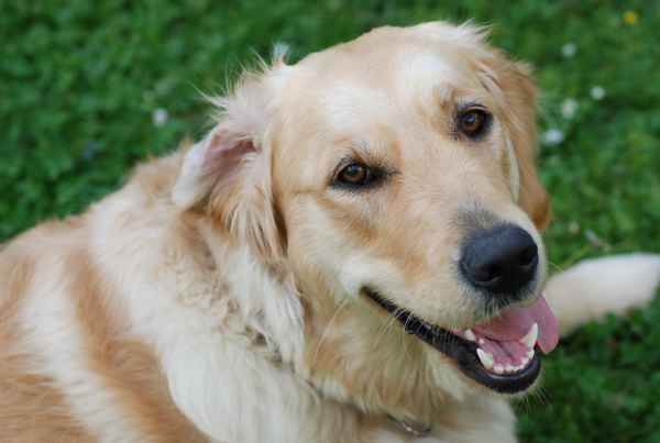 Ein Blick wie tausend Worte