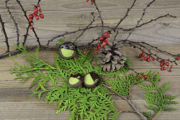 Pistazien-Schokolade-Taler